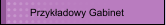 Przykładowy Gabinet